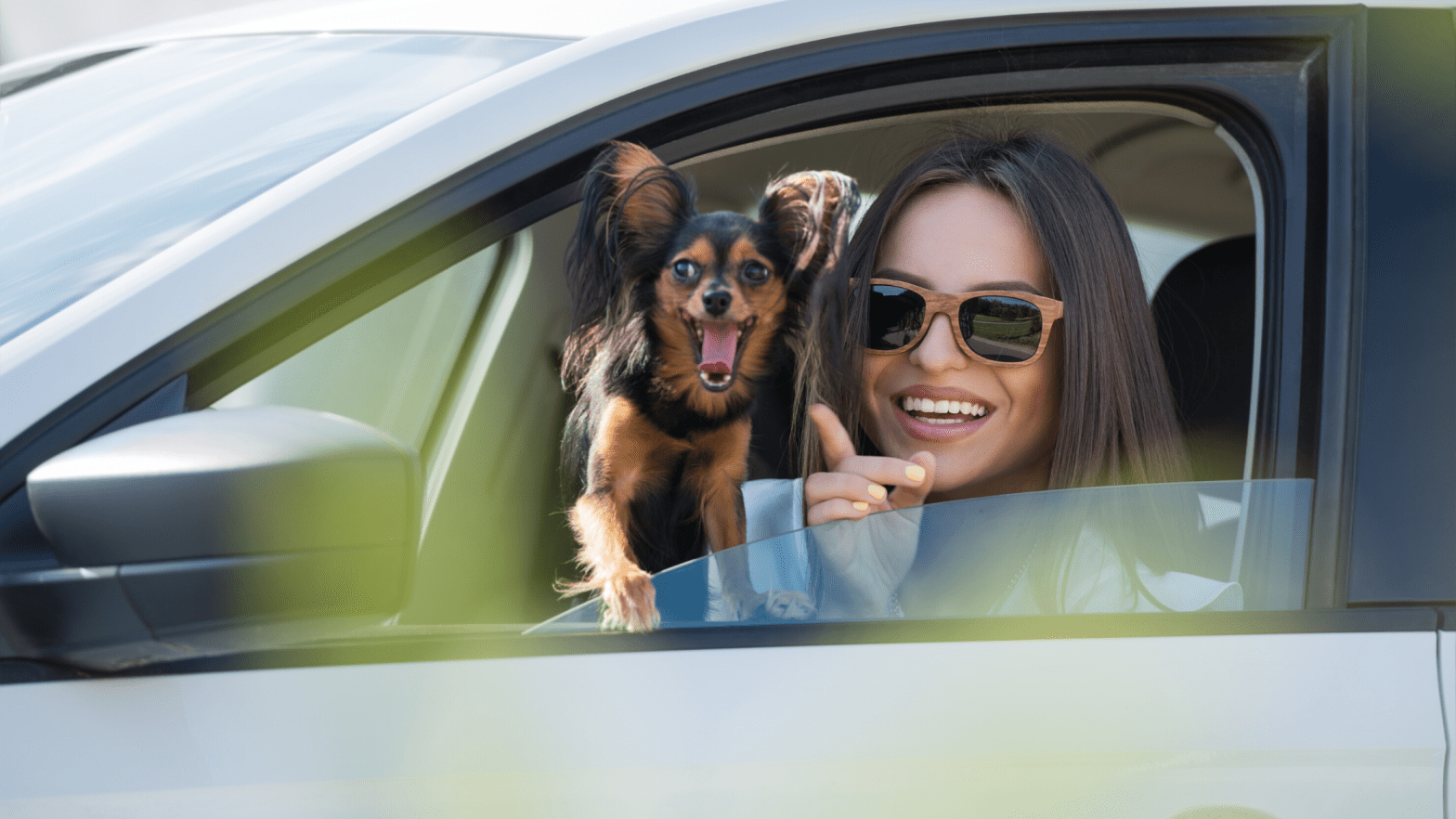 Serving Customers That Have Furry Friends